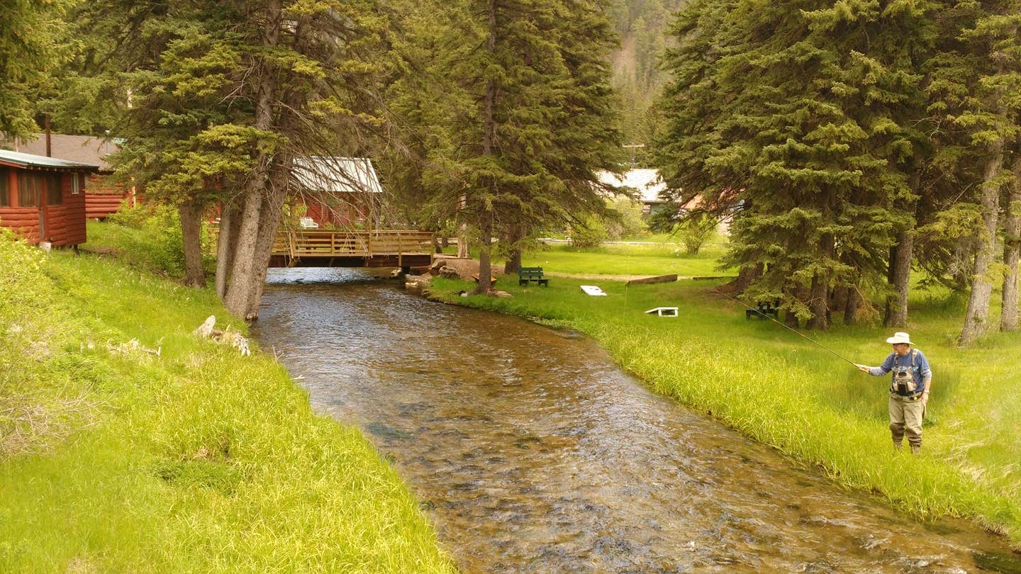 View All