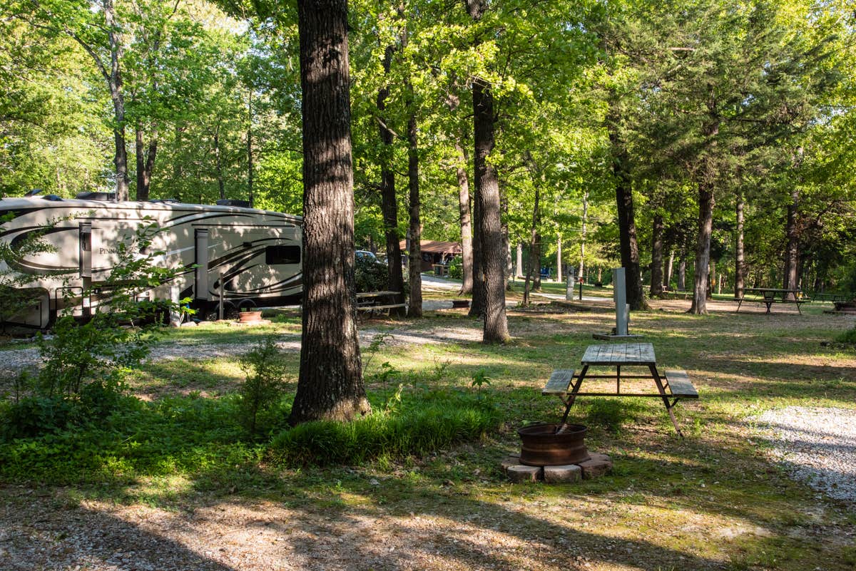 Camper-submitted photo at Shady Oaks Campground & RV Park near Everton, AR