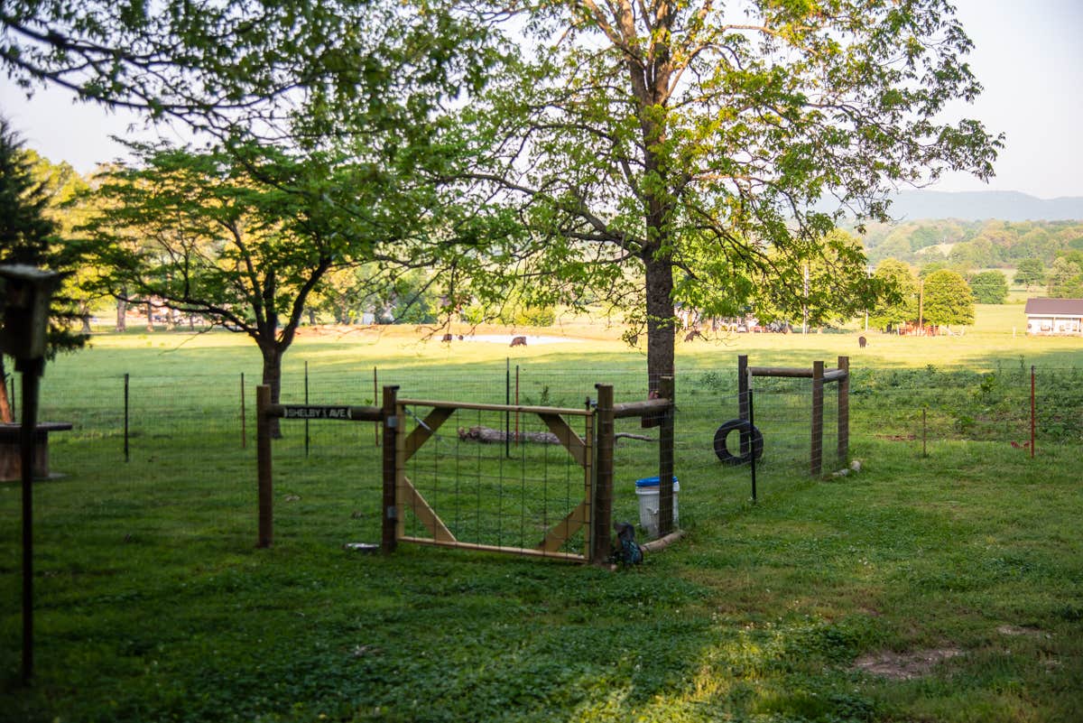 Camper-submitted photo at Shady Oaks Campground & RV Park near Everton, AR