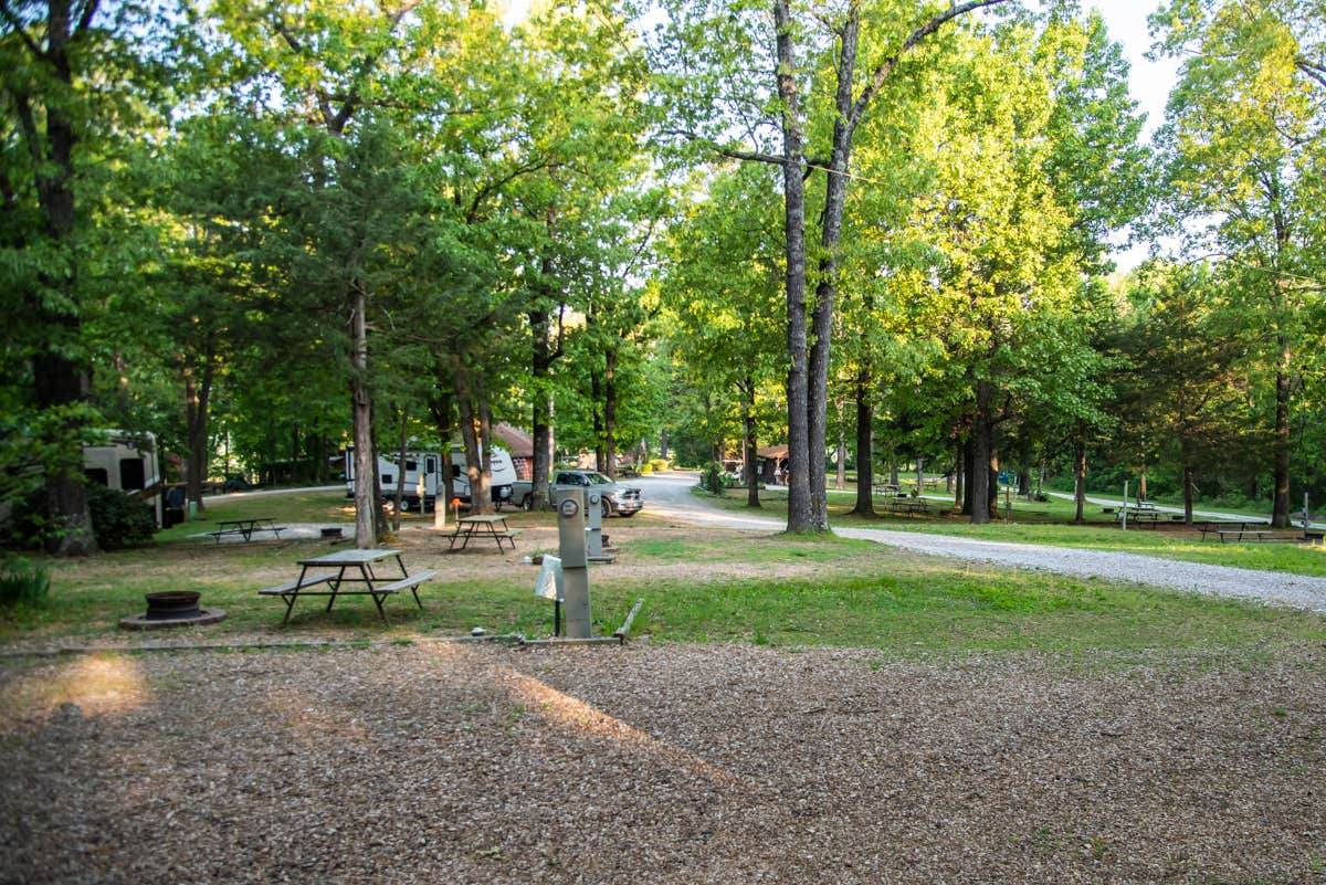 Camper-submitted photo at Shady Oaks Campground & RV Park near Everton, AR