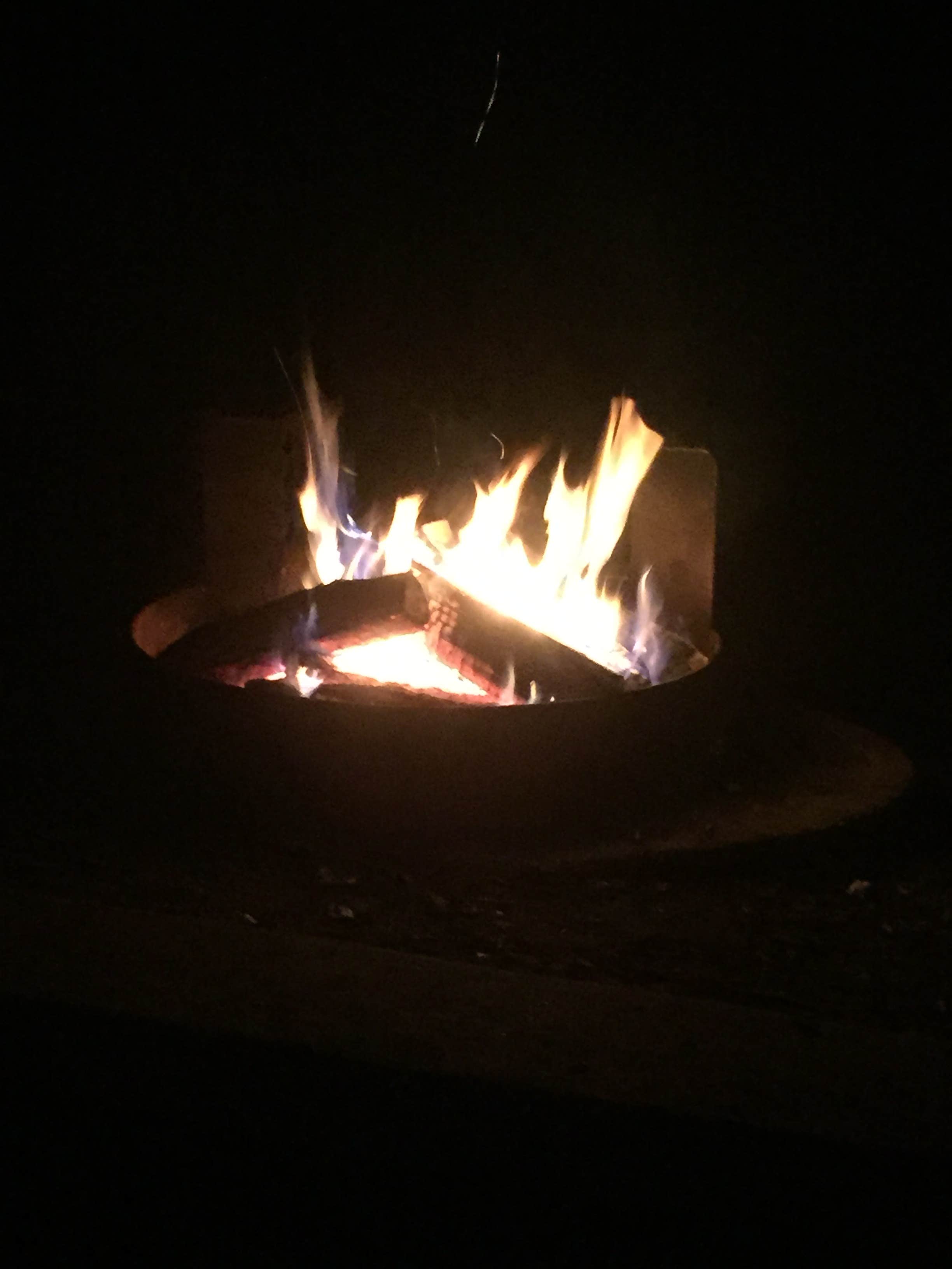 Camper submitted image from Rend Lake - 2