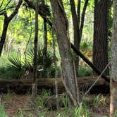 Review photo of Fontainebleau State Park Campground by Margie V., March 15, 2019