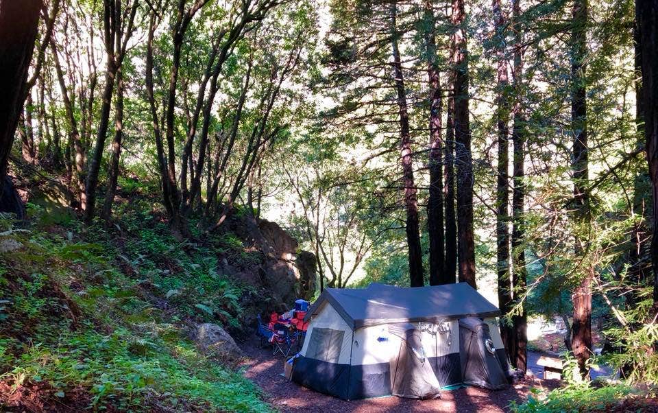 Hayley K.'s photo at Limekiln State Park Campground near Lucia, CA