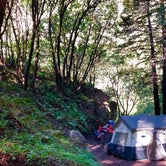 Review photo of Limekiln State Park Campground — TEMPORARILY CLOSED by Hayley K., March 15, 2019