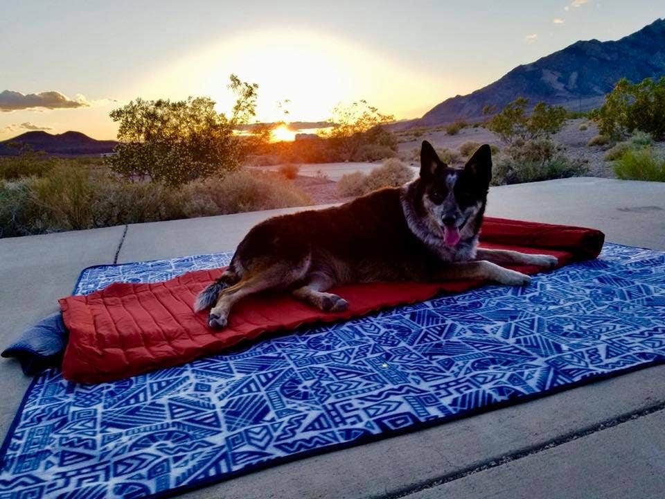 Hayley K.'s photo of a dispersed camping area at Death Valley: Dispersed Camping East Side of Park near Shoshone, CA