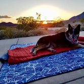 Review photo of Death Valley: Dispersed Camping East Side of Park by Hayley K., March 15, 2019