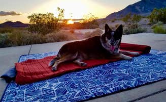Hayley K.'s photo of a dispersed camping area at Death Valley: Dispersed Camping East Side of Park near Beatty, NV