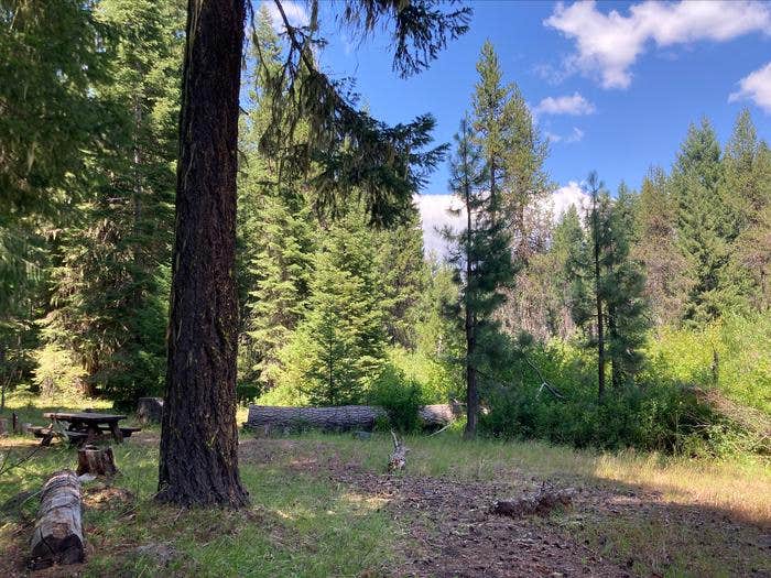 Camper submitted image from Beaver Dam Campground - 2