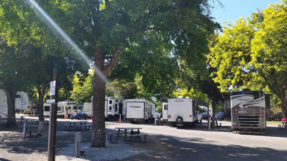 Camper-submitted photo at Waiiaka RV Park near Greenview, CA