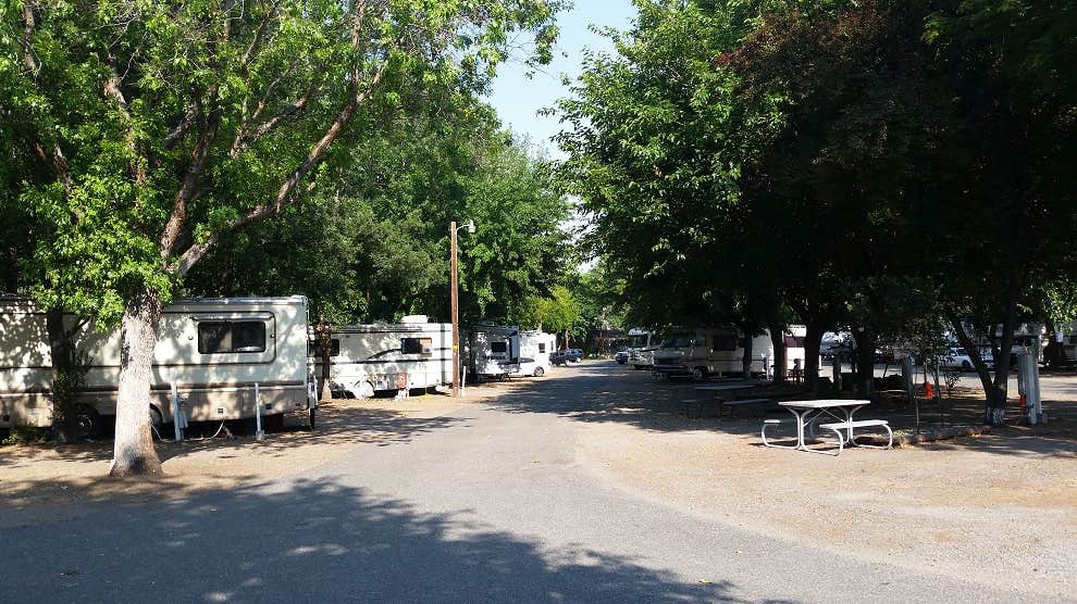 Camper submitted image from Waiiaka RV Park - 4