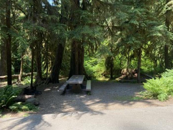Camper submitted image from Sol Duc Hot Springs Resort Campground — Olympic National Park - 5