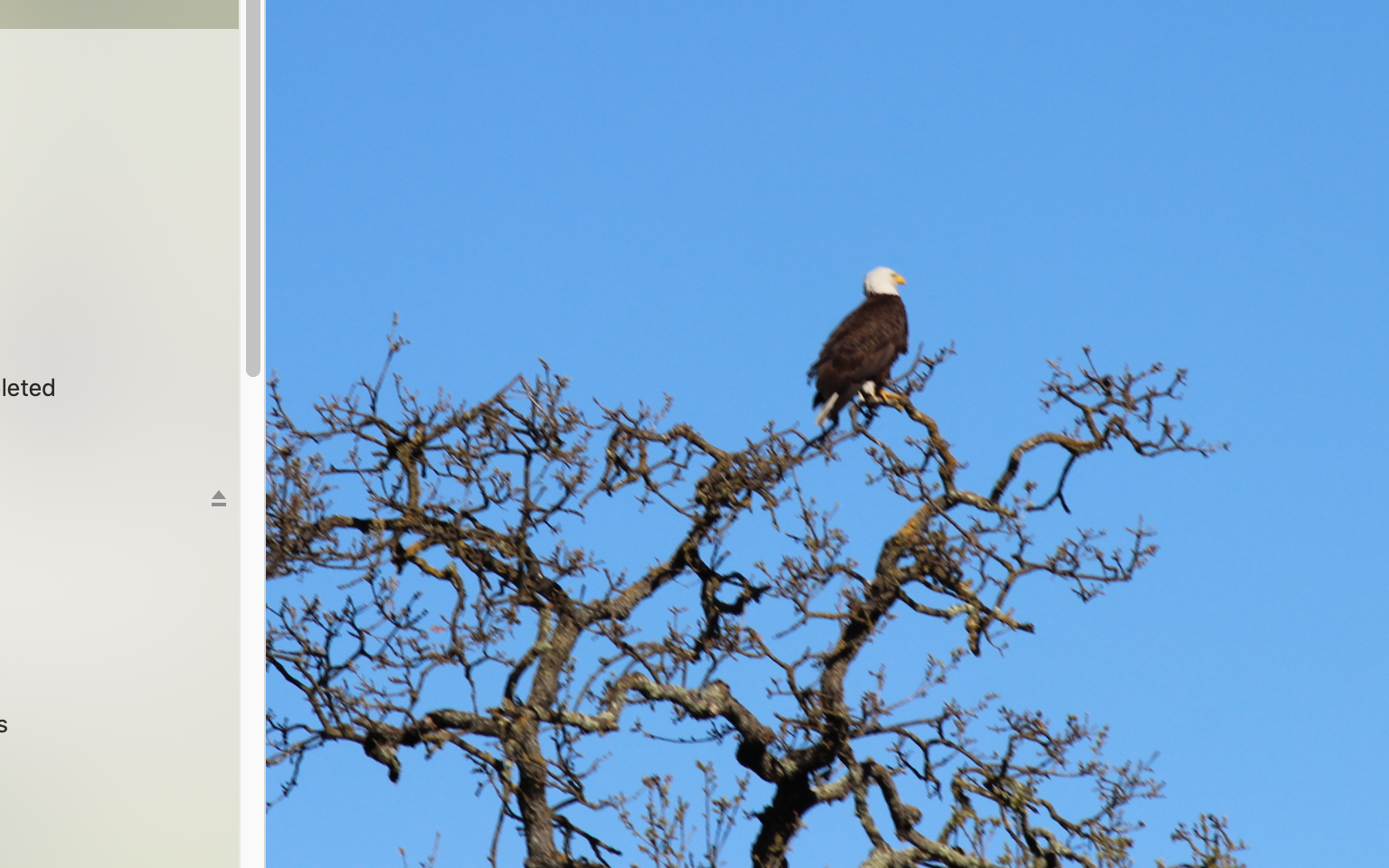 Camper submitted image from Coyote Lake Harvey Bear Ranch County Park - 4