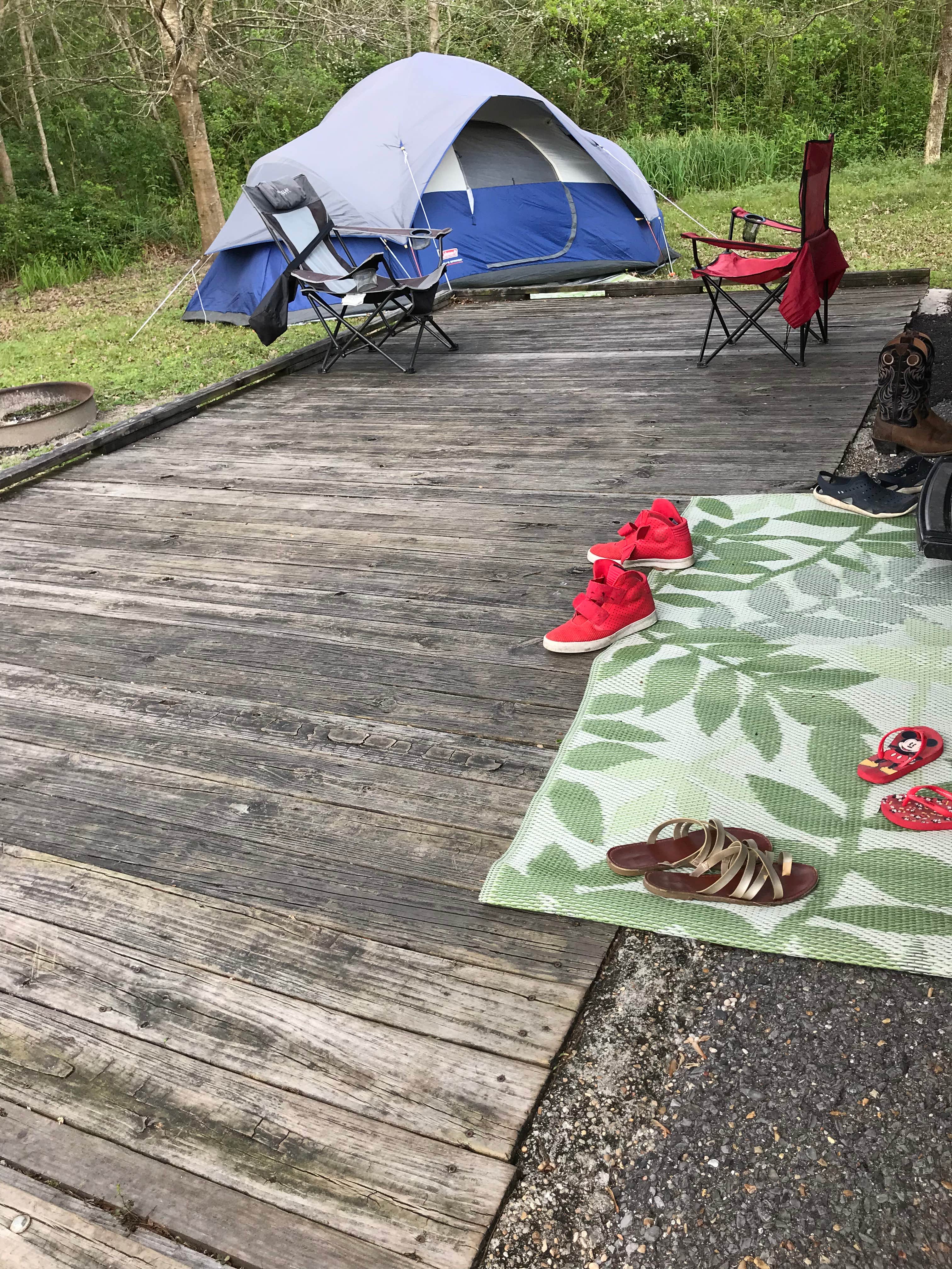Lisa P.'s photo at Bayou Segnette State Park Campground near Westwego, LA