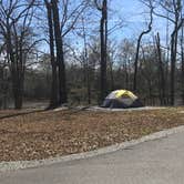 Review photo of Moro Bay State Park Campground by Lisa P., March 16, 2019