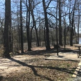 Review photo of Moro Bay State Park Campground by Lisa P., March 16, 2019