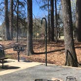 Review photo of Moro Bay State Park Campground by Lisa P., March 16, 2019