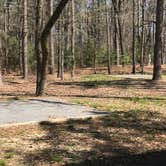 Review photo of Moro Bay State Park Campground by Lisa P., March 16, 2019