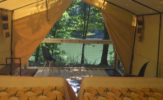 Bari M.'s photo of tent camping at Horseshoe Bend Marina near Shiloh, TN