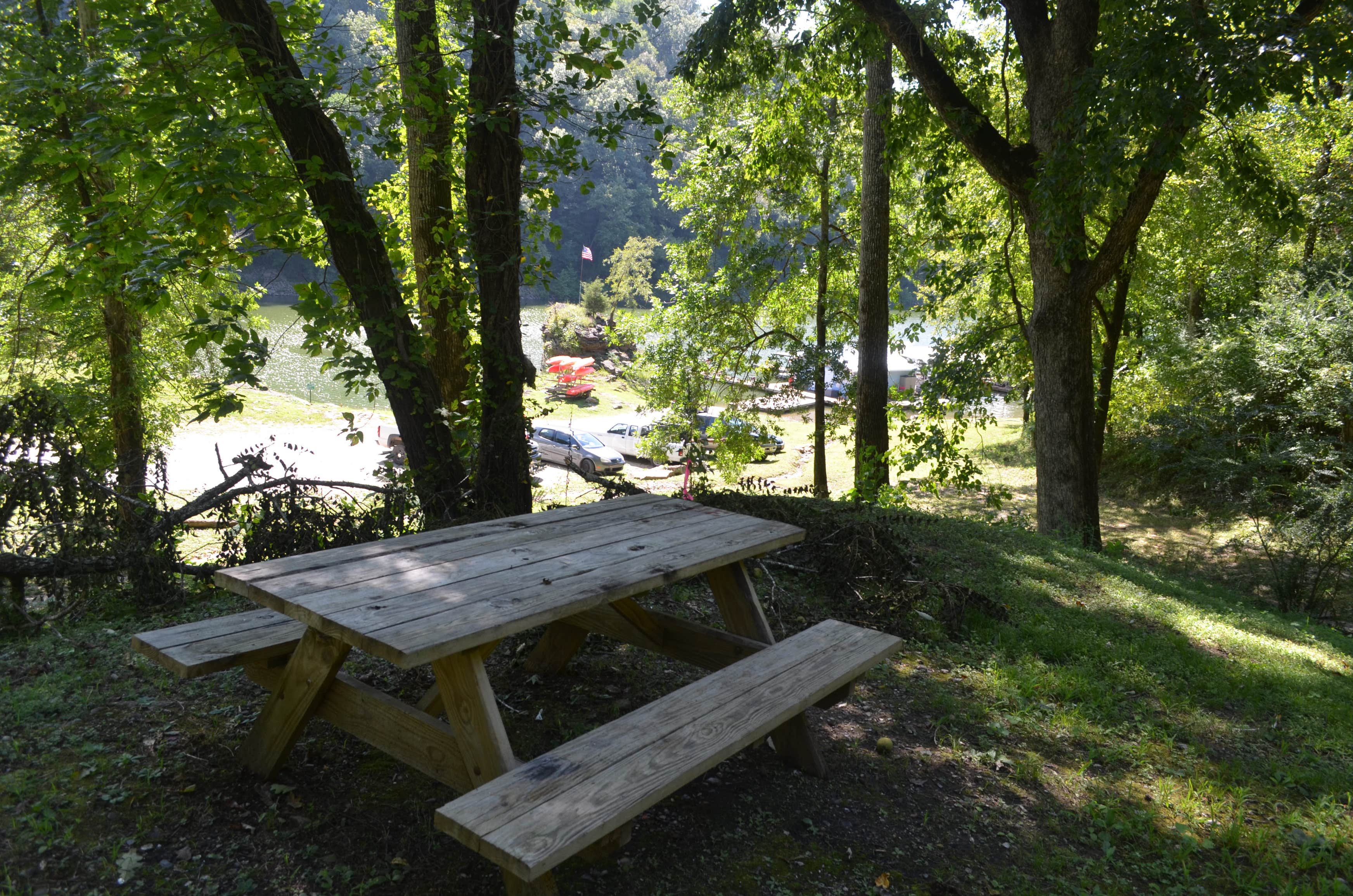 Horseshoe Bend Marina Camping The Dyrt