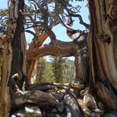 Review photo of Grandview Campground by Krista  R., August 25, 2016