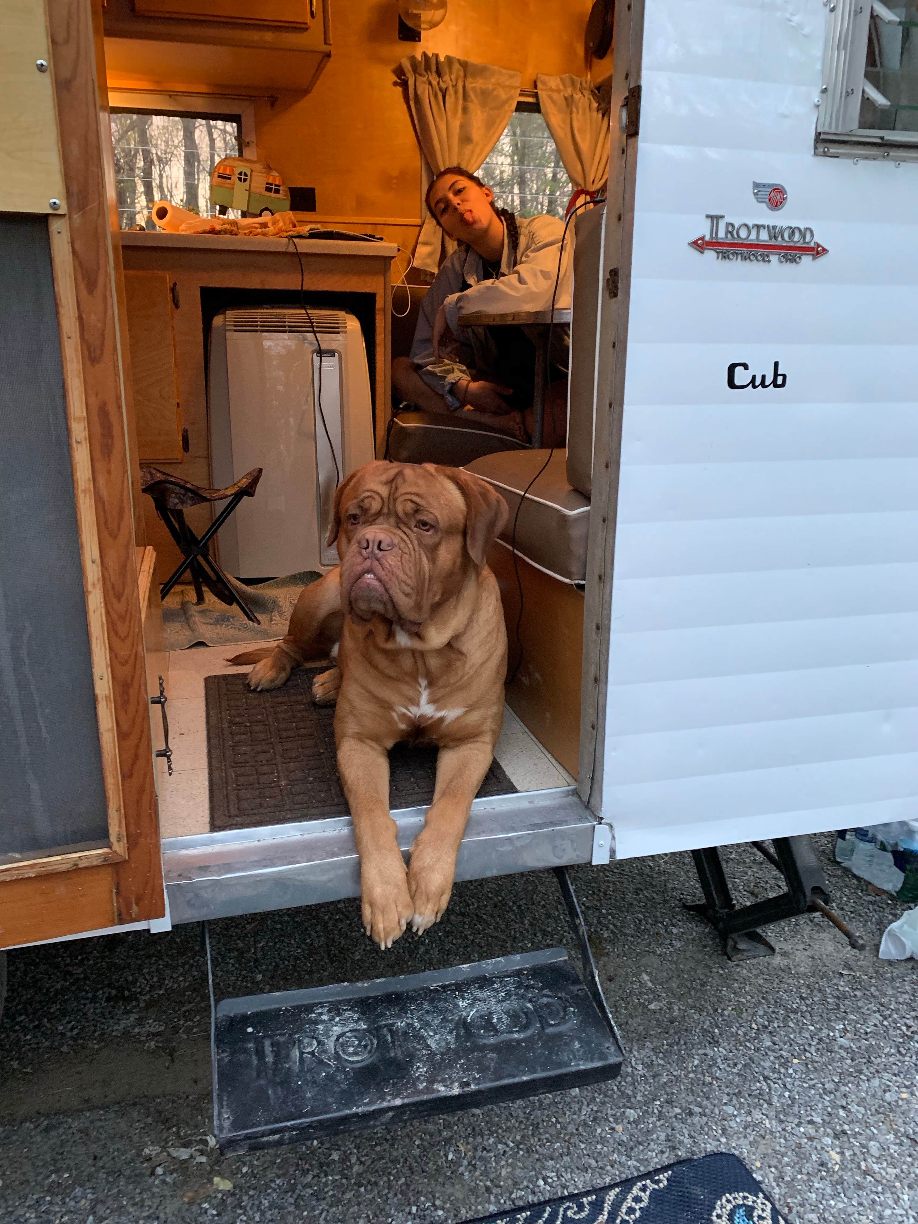 Vera V.'s photo of camping with pets at Gunter Hill near Marbury, AL