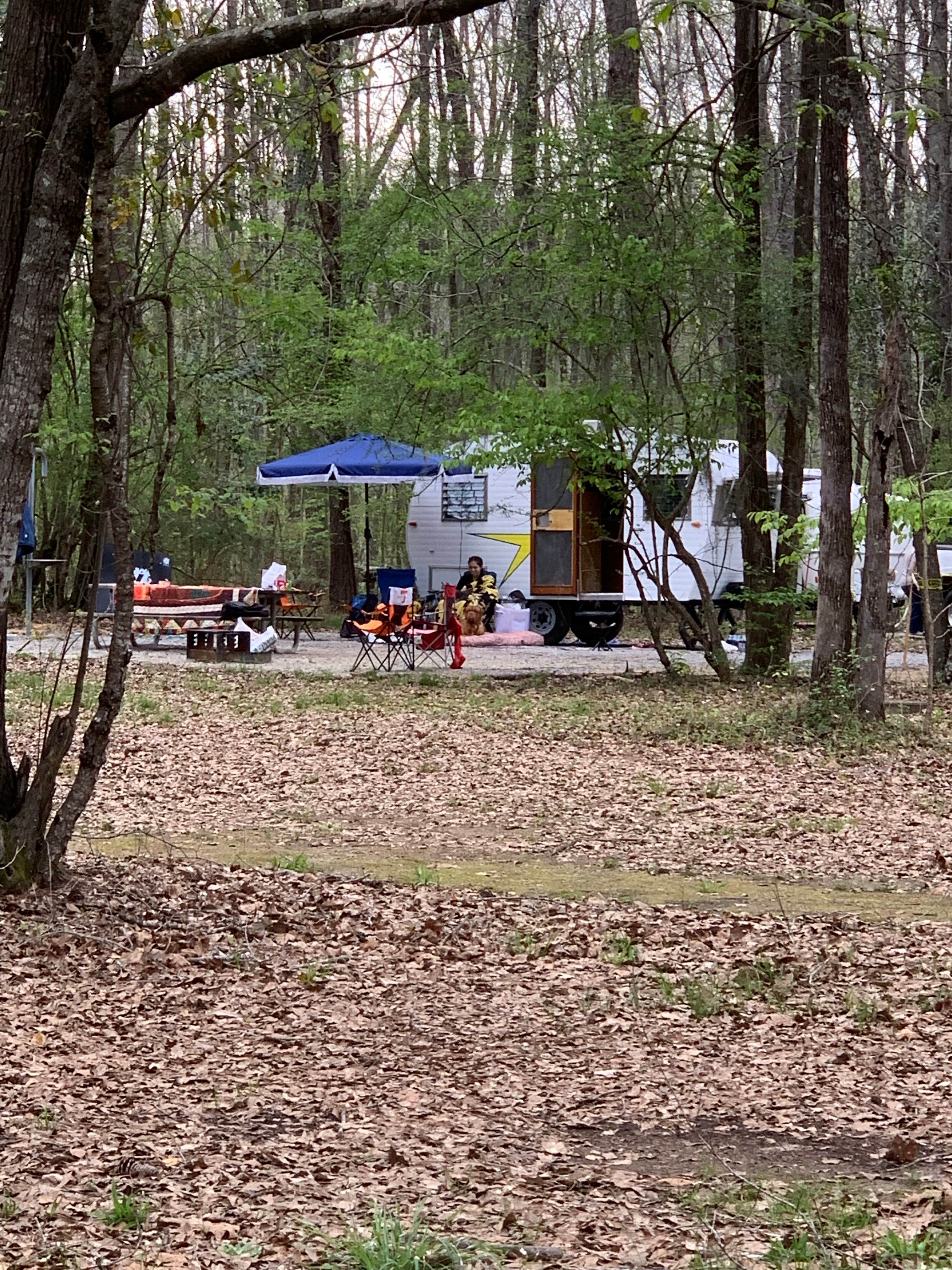 Vera V.'s photo at Gunter Hill near Troy, AL