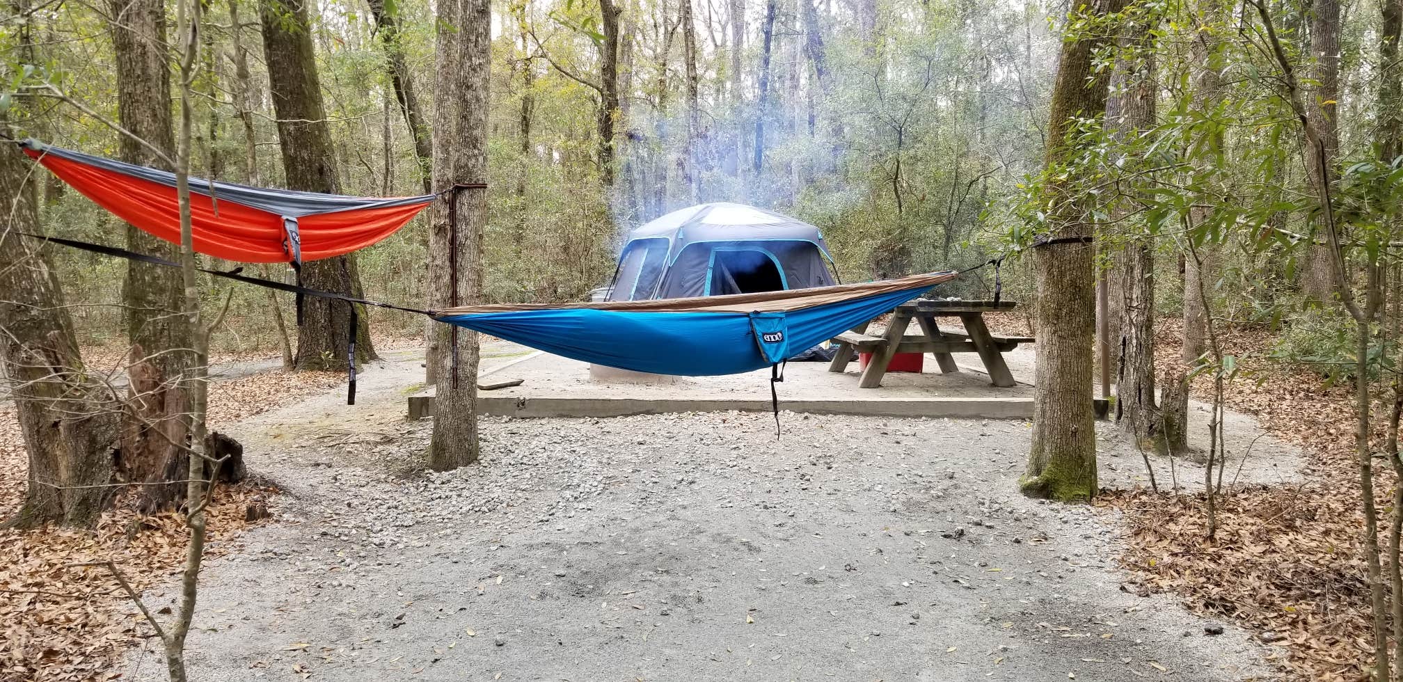 Camper submitted image from Princess Ann — Lumber River State Park - 3