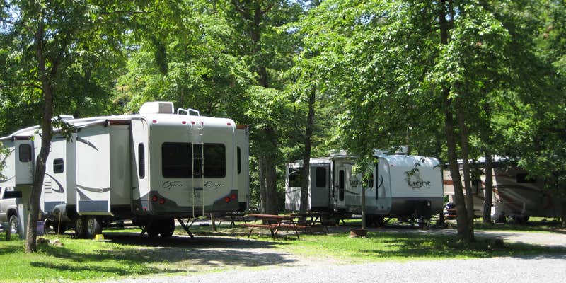 Camper submitted image from Charlottesville KOA
