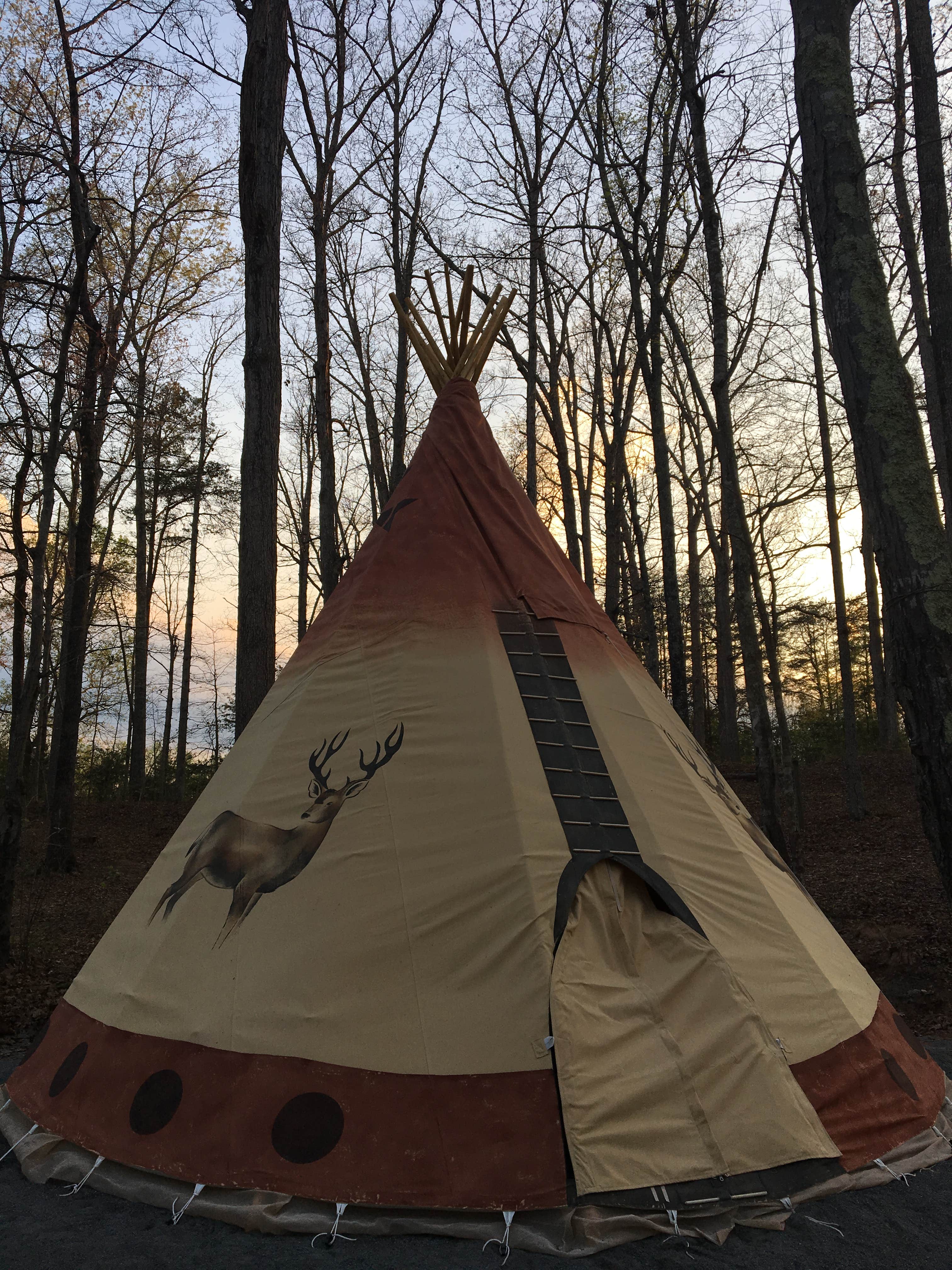 Camper-submitted photo at Charlottesville KOA near Crozet, VA