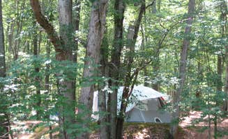 Ashley N.'s photo at Charlottesville KOA near Palmyra, VA