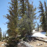 Review photo of Grandview Campground by Krista  R., August 25, 2016