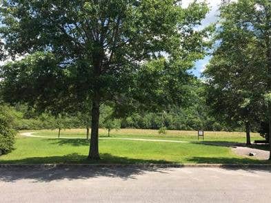 Camper-submitted photo at Roaring River Park near Carthage, TN