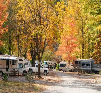 Camper-submitted photo from Cosby Campground — Great Smoky Mountains National Park