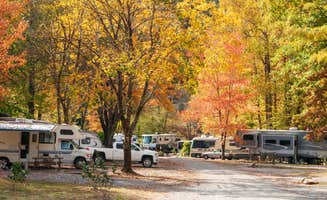 Cassie S.'s photo of rv camping at Little Arrow Outdoor Resort near Croatan National Forest