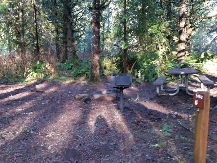 Camper submitted image from BLM Molalla River Recreation Area - 2