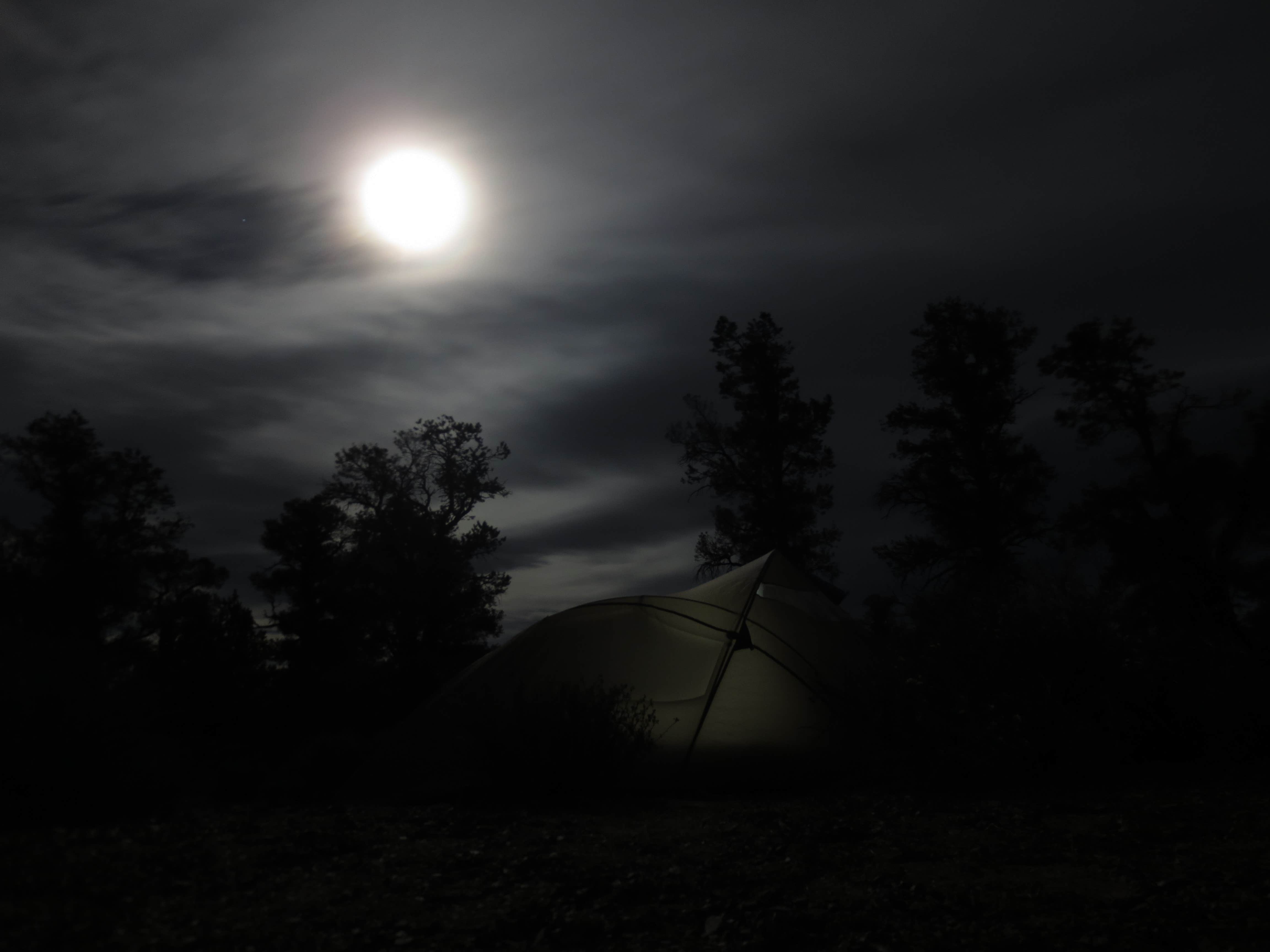 Camper submitted image from Grandview Campground - 5