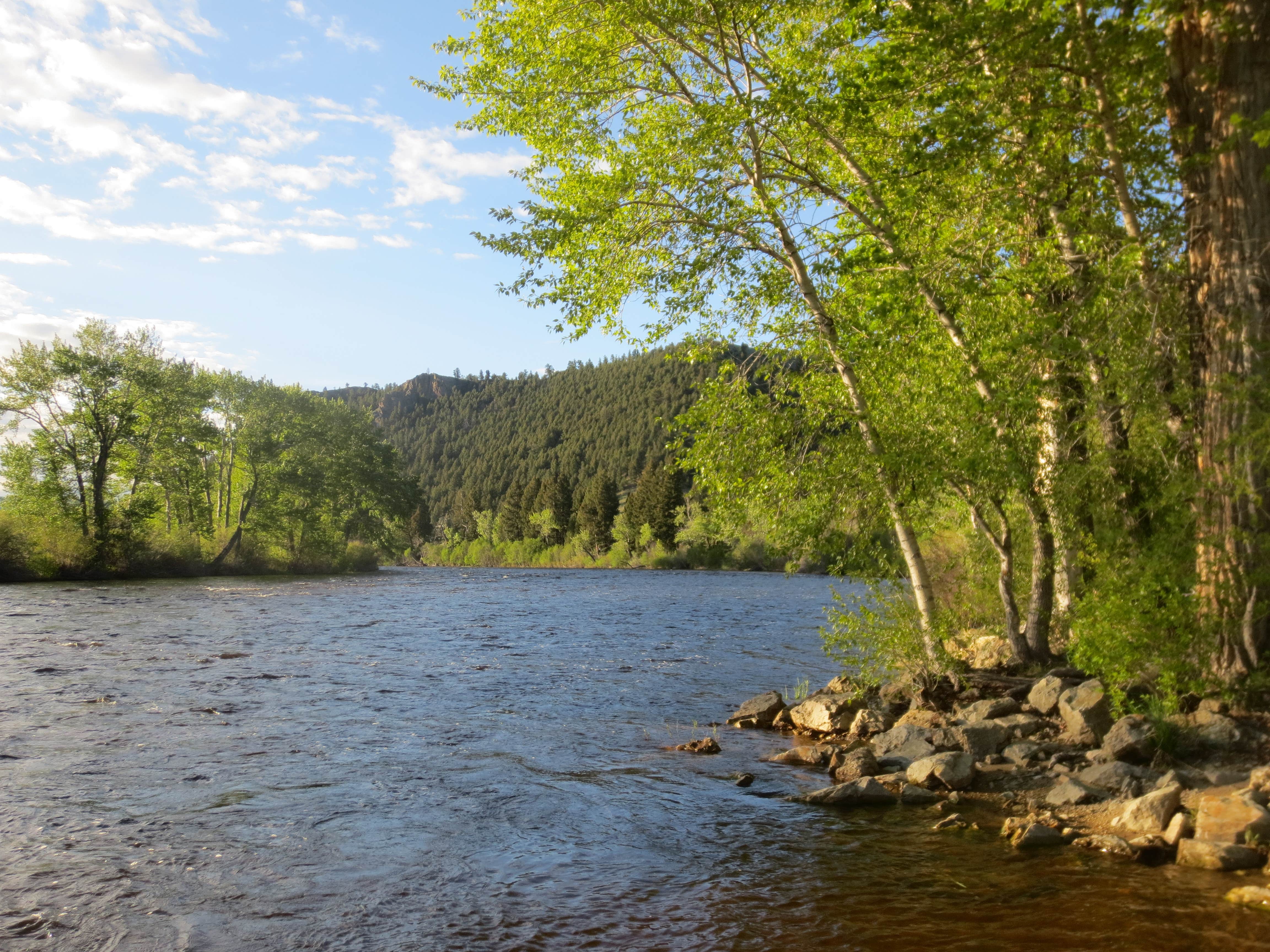 Camper submitted image from Divide Bridge Campground - 4