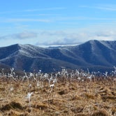 Review photo of Roan Mountain State Park by Katrin M., March 18, 2019