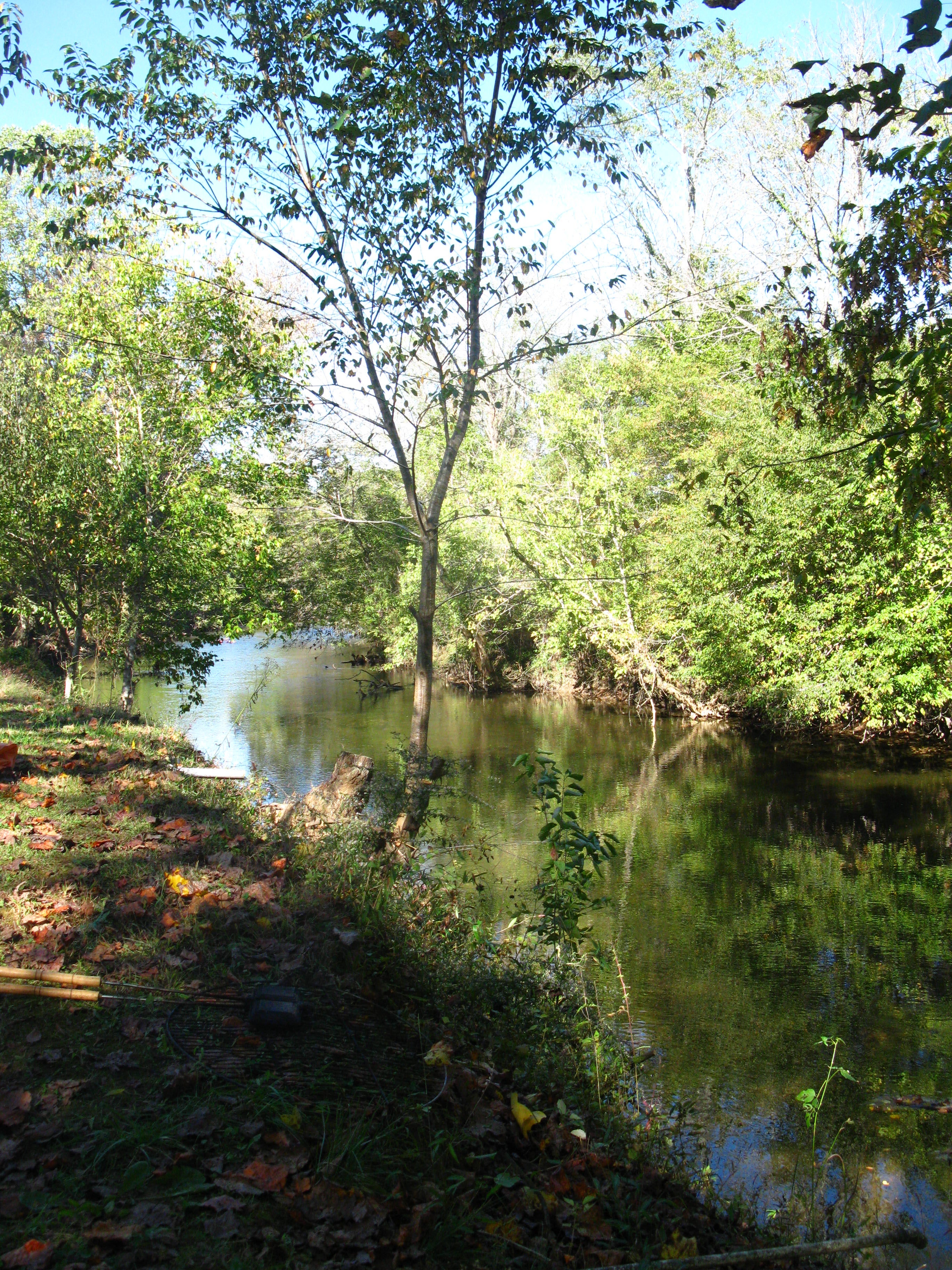 the creek that runs alongside