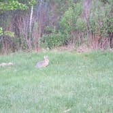 Review photo of Divide Bridge Campground by Krista  R., August 25, 2016