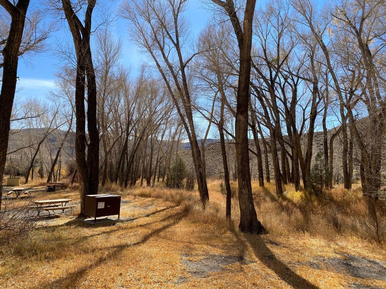 Camper submitted image from Dry Gulch Campground - 1