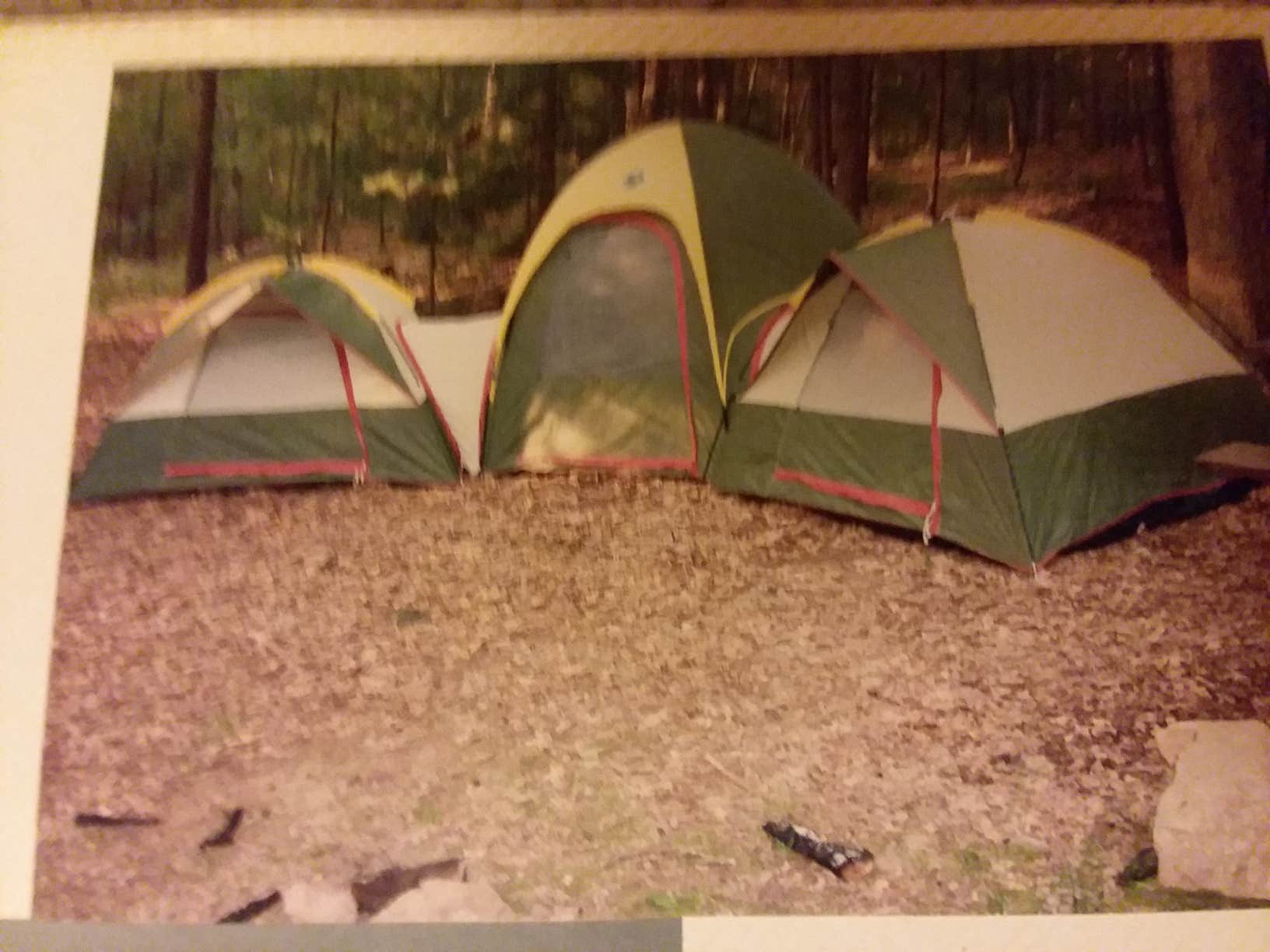 Camper submitted image from Caledonia State Park Campground - 5