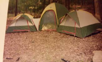 Claudia L.'s photo at Caledonia State Park Campground near Waynesboro, PA