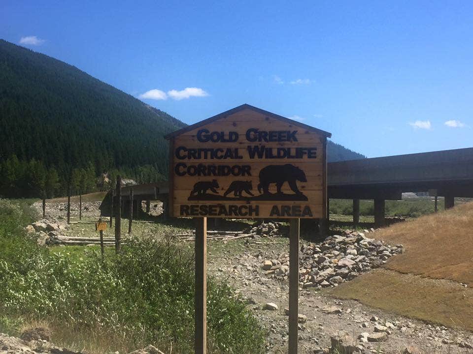 Camper submitted image from Beauty Creek Campground - 4