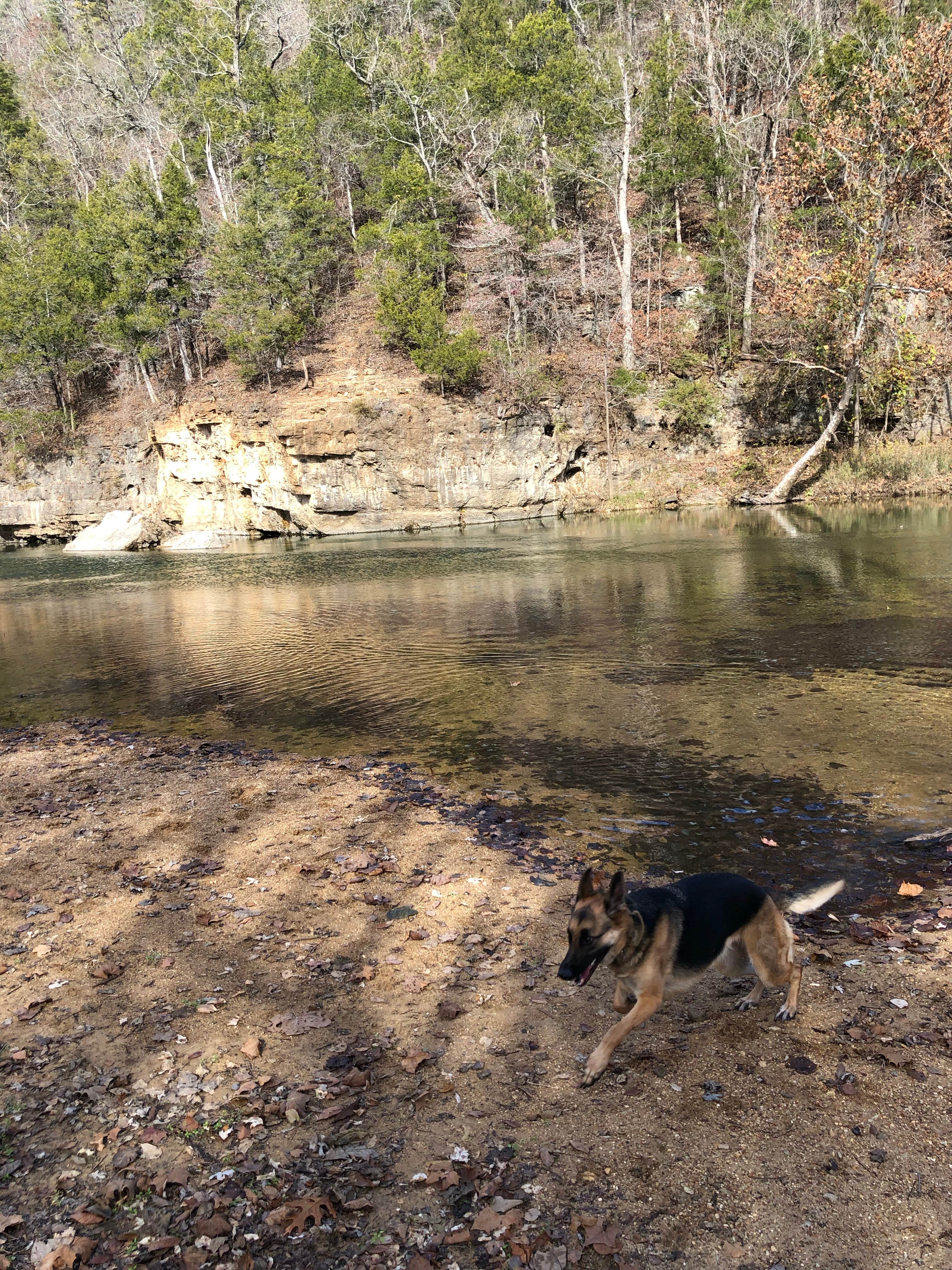 Tyler D.'s photo of camping with pets at Alley Spring Campground — Ozark National Scenic Riverway near Mark Twain National Forest