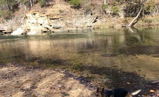 Tyler D.'s photo of camping with pets at Alley Spring Campground — Ozark National Scenic Riverway near Van Buren, MO