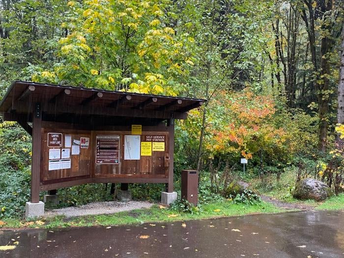 Camper submitted image from BLM Molalla River Recreation Area - 1