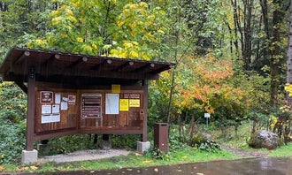 Camping near Trout Creek Wilderness Lodge: BLM Molalla River Recreation Area, Molalla, Oregon