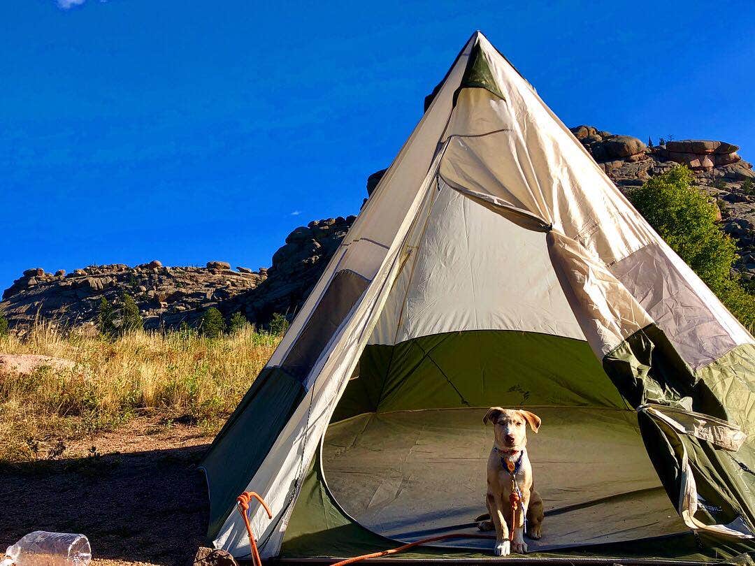 Hayley K.'s photo of camping with pets at Vedauwoo Tent Campground (Wy) — Medicine Bow Routt N Fs & Thunder Basin Ng near Cheyenne, WY