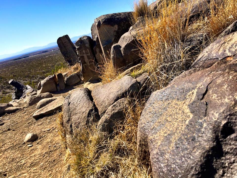 Camper submitted image from Three Rivers Petroglyph Site - 1